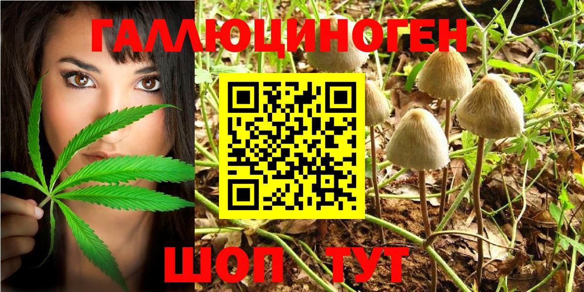Лесной  Галлюциногенные грибы Psilocybe  Галлюциногенные грибы Cubensis  Вход с VPN 